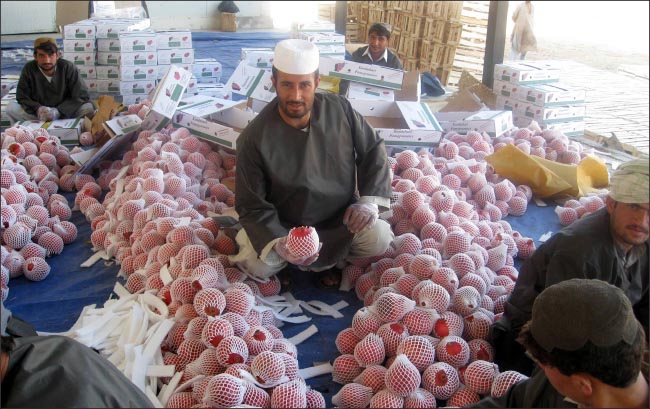 برنامه ها و چشم انداز اقتصاد افغانستان